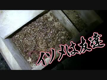 【魚釣り】お魚１００種　釣れるかな？【実況】 part 32