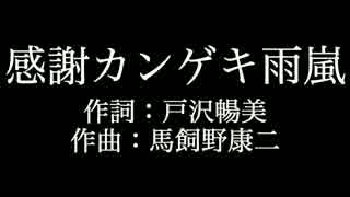 嵐【感謝カンゲキ雨嵐】歌詞付き　full　カラオケ練習用　メロディあり