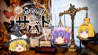 【ゆっくり怪談】魔女たちのゆっくりサバト10【妖怪退治シリーズ3】