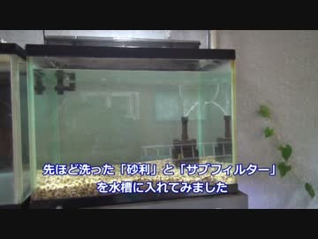 【水槽台購入】水槽１０本設置してみた・その２