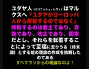 【馬渕睦夫】「９１１」は誰が見てもおかしい？＿事前に爆弾