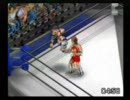 東方プロレス～東方闘魂記～二回目興業・ダブルメインその2