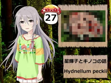 【モバマス】星輝子とキノコの話27　Hydnellum peckii【グロ注意】