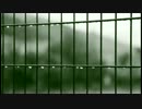 【GUITAR COVER】cali≠gari 冷たい雨