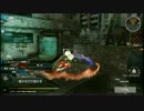 【FWPVP】市街地Bスタート殲滅戦 エクソダスファルケ残影