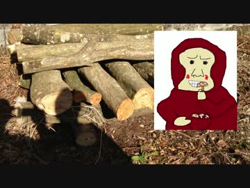 【ぼくらの田舎生活】椎茸を育ててみよう！