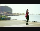 【まるこ】ハーゲンダッツ以下の殺風景　踊ってみた
