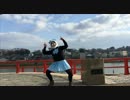 【初】ダン・ダン・ドゥビ・ズバー！を踊ってみたかった【踊ってみた】