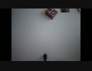 【ととまる屋】HDMリスペクト【デュエルマスターズ】