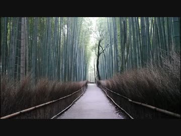 だいたい日本一周鉄道旅　part28（京都）