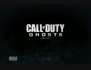 【PS3】サバゲーやってないな~よしCoDやろう　１０　【CoD:G】