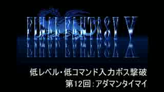 【FF5】低レベル・低コマンド入力ボス撃破 第12回【アダマンタイマイ】