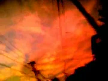 celluloid 歌ってみた　【たっきぃ】