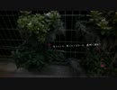 造花の距離感   歌ってみた 【vertigo】