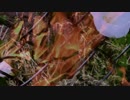 Jam City - Unhappy