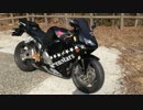CBR600RR STRIKER　S/O 排気音