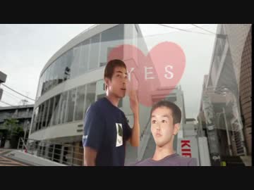 yes/noデカ枕