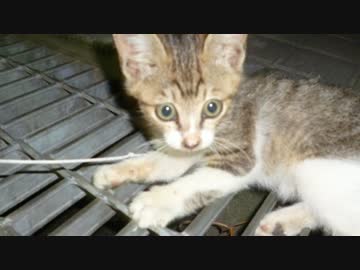 過ぎていく記憶たち