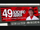 広島東洋カープ　2014年観戦時の天谷宗一郎選手安打集