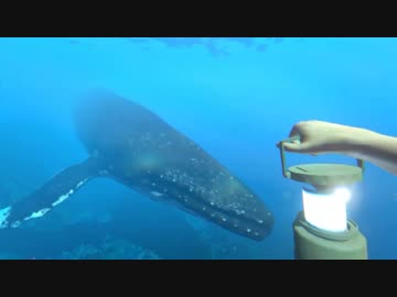 【実況】 中略 Stranded Deep ＃４ 【ver α 0.01.H1 】