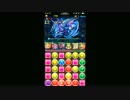 パズドラ　氷零妃 超地獄級　輝耀カーリー×輝耀カーリー