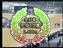 2000 第10回 セイユウ賞アラブ大賞典