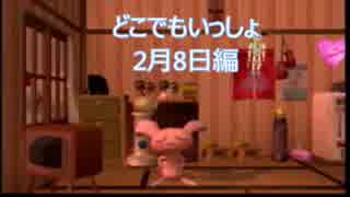 【実況】うるさい女が猫に言葉を教える【どこでもいっしょ2月8日編】