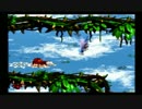 ドンキーコング2で変わった遊び方をしてみた