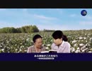 全能神教会福音動画『迫害と艱難でもっと神様を愛する』.3gp