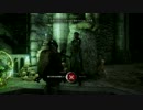 【ドラゴンエイジ：インクイジション】世界観解説しながら実況 Part.17