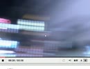 デスコ　女王蜂