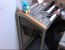 木漏れ日のコンタクトをエレクトーンでアレンジしてみた