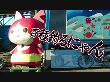 【魚釣り】お魚１００種　釣れるかな？【実況】 part 33