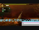 はじめましてのモンハン７８日目