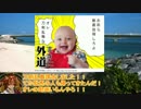 【会話つき】VANISHING VERMILION第二十八章【白金D】