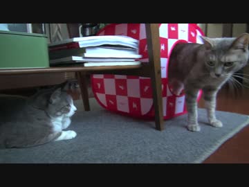 【モアクリ】 ホカホカ遊び