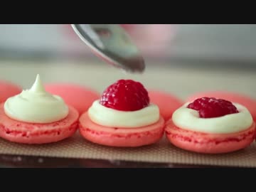 ローズマカロン【Byron Talbott】