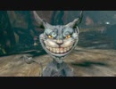 ワンダーランドに行ってくる No.2 [ALICE MADNESS RETURNS]