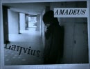 アマデウス　歌ってみた ver.Layvius