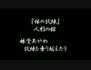 【実況】巫女になるために試練に立ち向かう【青巫女幻想曲】part6