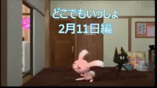 【実況】うるさい女が猫に言葉を教える【どこでもいっしょ2月11日編】