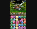 【パズドラ】ゼウス・ディオス！[9]　-　ハトホルパ