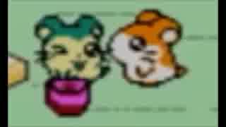 【2人実況】”さくさく”ハム太郎２　ハムちゃんず捕獲作戦でちゅ　part7