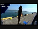 2.12さえさん、大仏師釣りするぞx264.aac.mp4