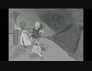 【オリジナル曲】Will Be Over【インストゥルメンタル】