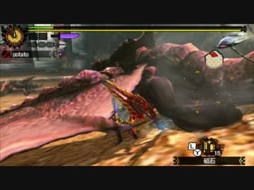 【MH4G】師匠からの試練 火事場操虫棍 5'29"30