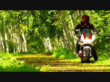 CB400SB（ポンドール）と行く　北日本縦断旅日記 Travel.2　爽快！美瑛散策