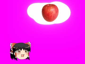 テスト動画