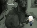 「PONPONPON-acoustic guitar.ver- 」を歌ってみました。彩鹿