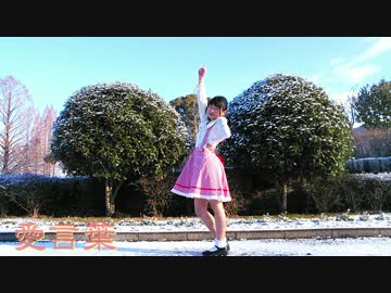 【ひかり.】愛言葉 踊ってみた【1周年！】